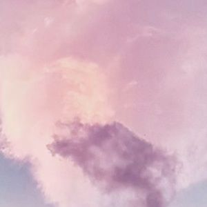 Meet your Posher, Nicky